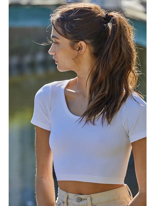 Seamless Everyday Knit Crop Top